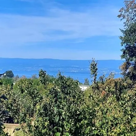 T3 Avec Grande Terrasse Et Vue Évian-les-Bains